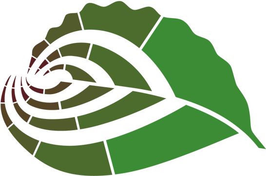 Leaf Design - Illustration (600x407)