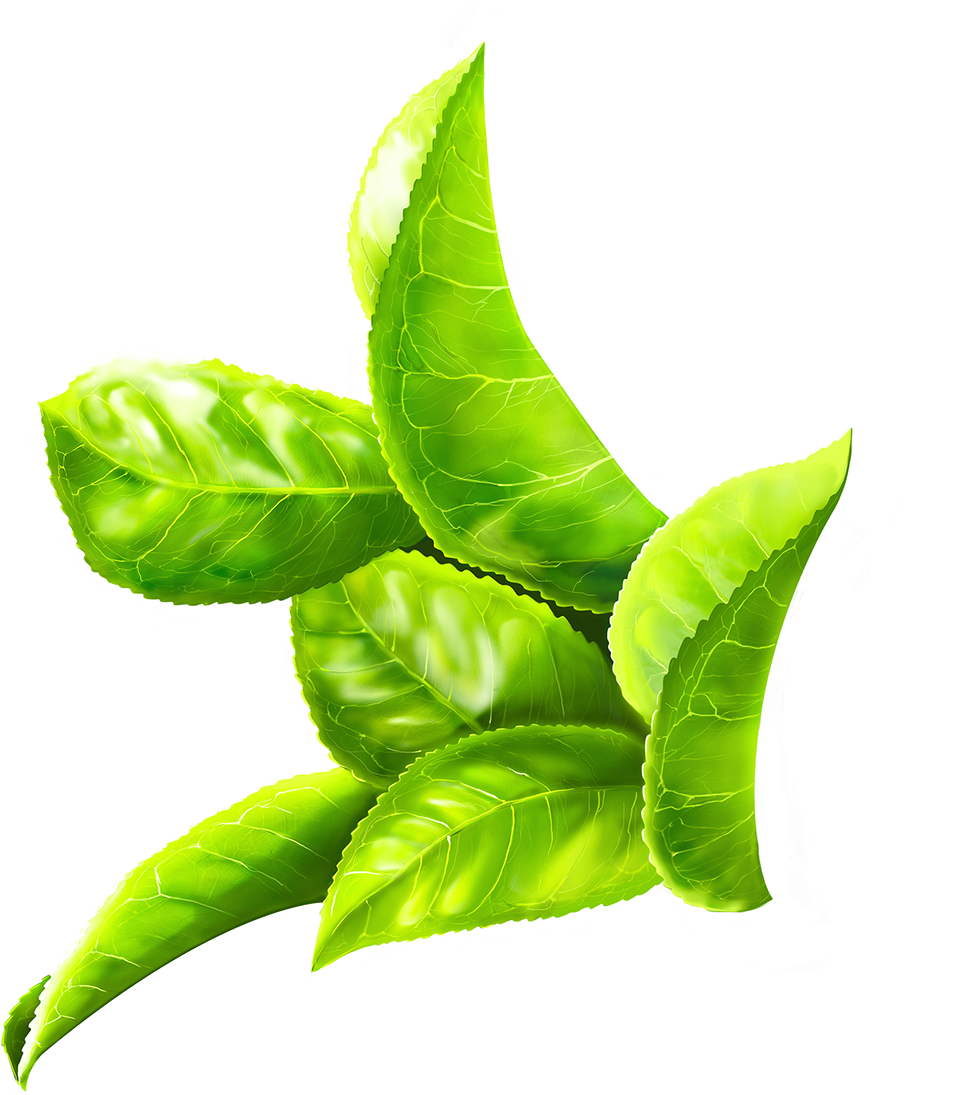 Behance Digital Painting Tea Adobe Systems - Behance Digital Painting Tea Adobe Systems (1240x1213)