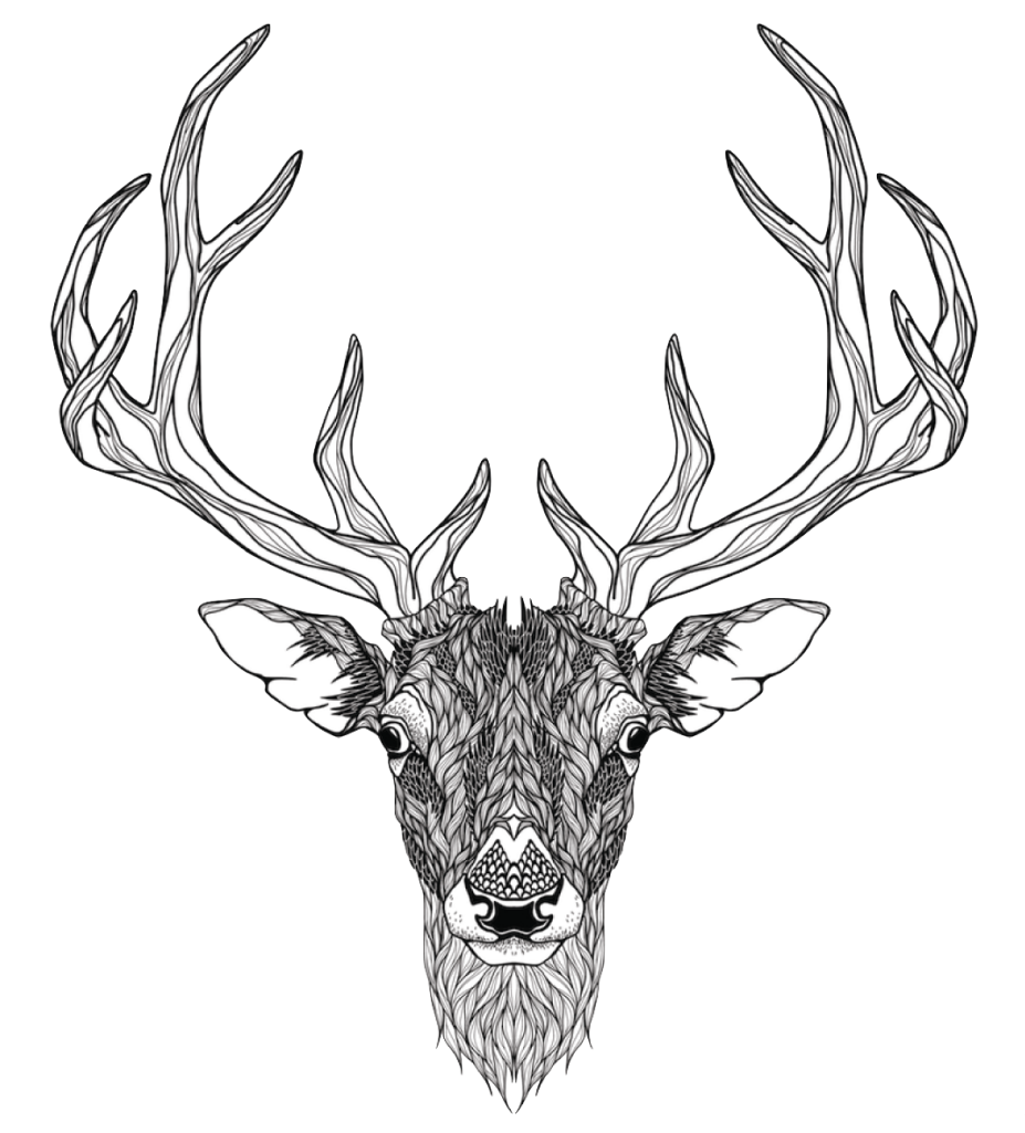 Deer - Elepawl Led Tracing Light Box Board Art Tattoo A4 Drawing (1024x1024)
