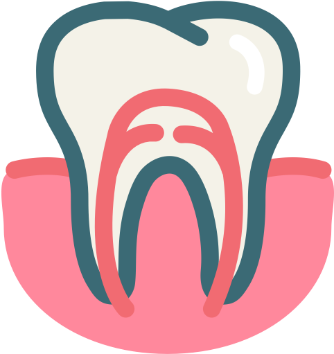 Download Png File 512 X - Tooth Gums Icon (512x512)
