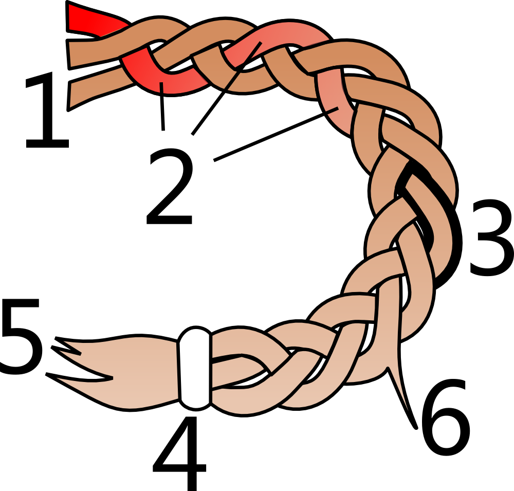 Parts Of A Hair Braid - Hank (1000x955)