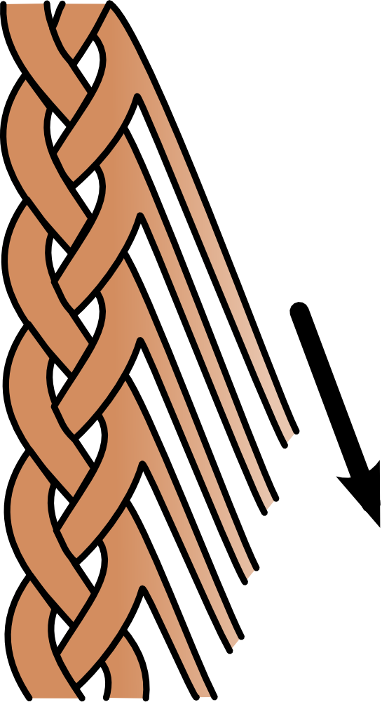 Feathered Braid Graphic - Braid Graphic (545x1000)