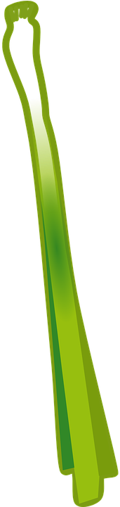 Onion Clipart Bawang - Spring Onion Vector Png (360x720)