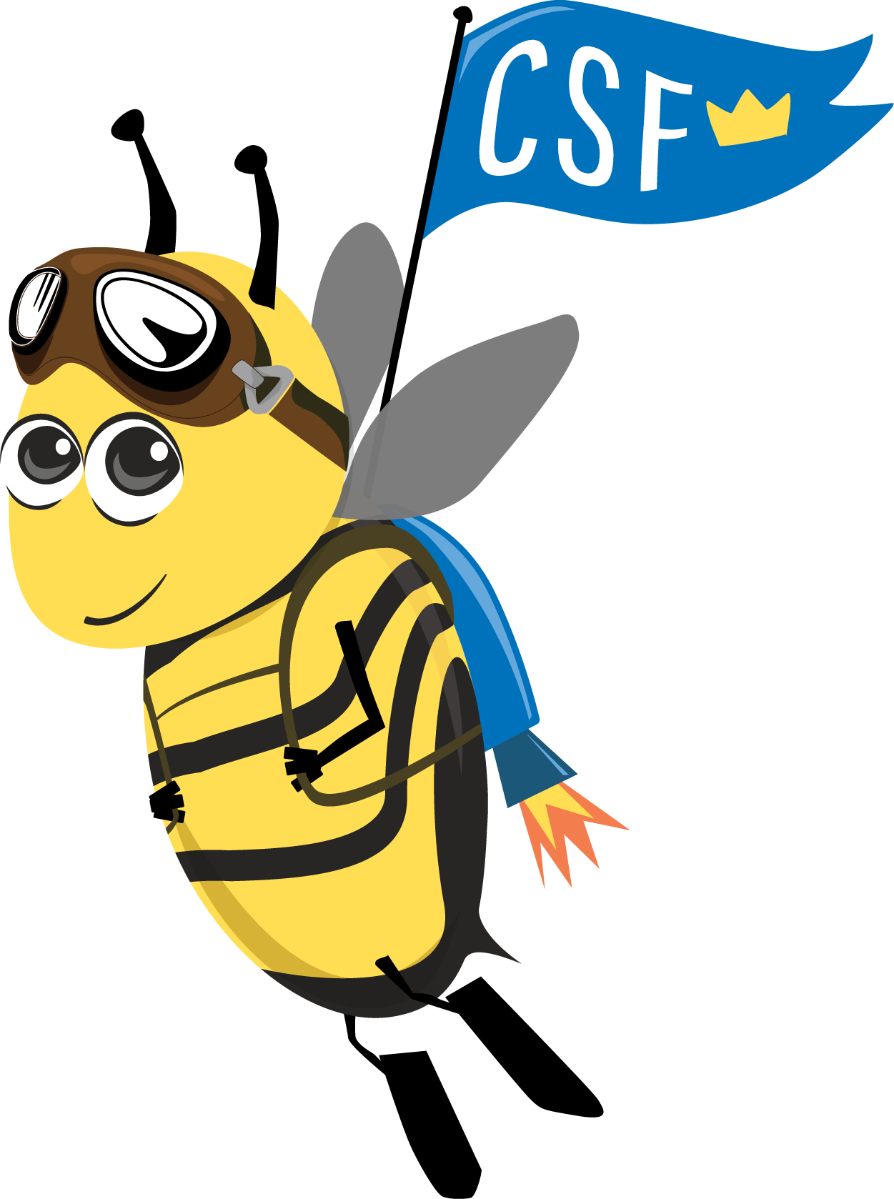 Cerebrospinal Fluid (1251x1678)