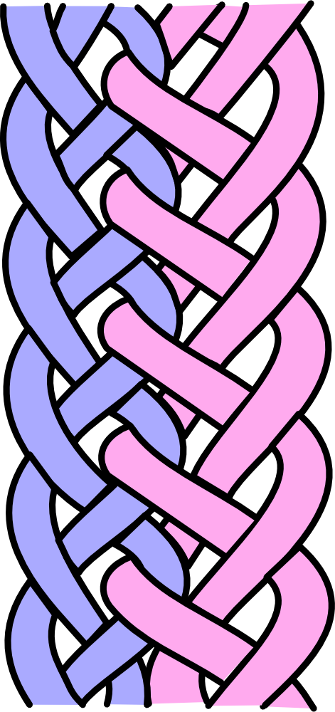 Interlocked Braid Graphic - French Braid (471x1000)