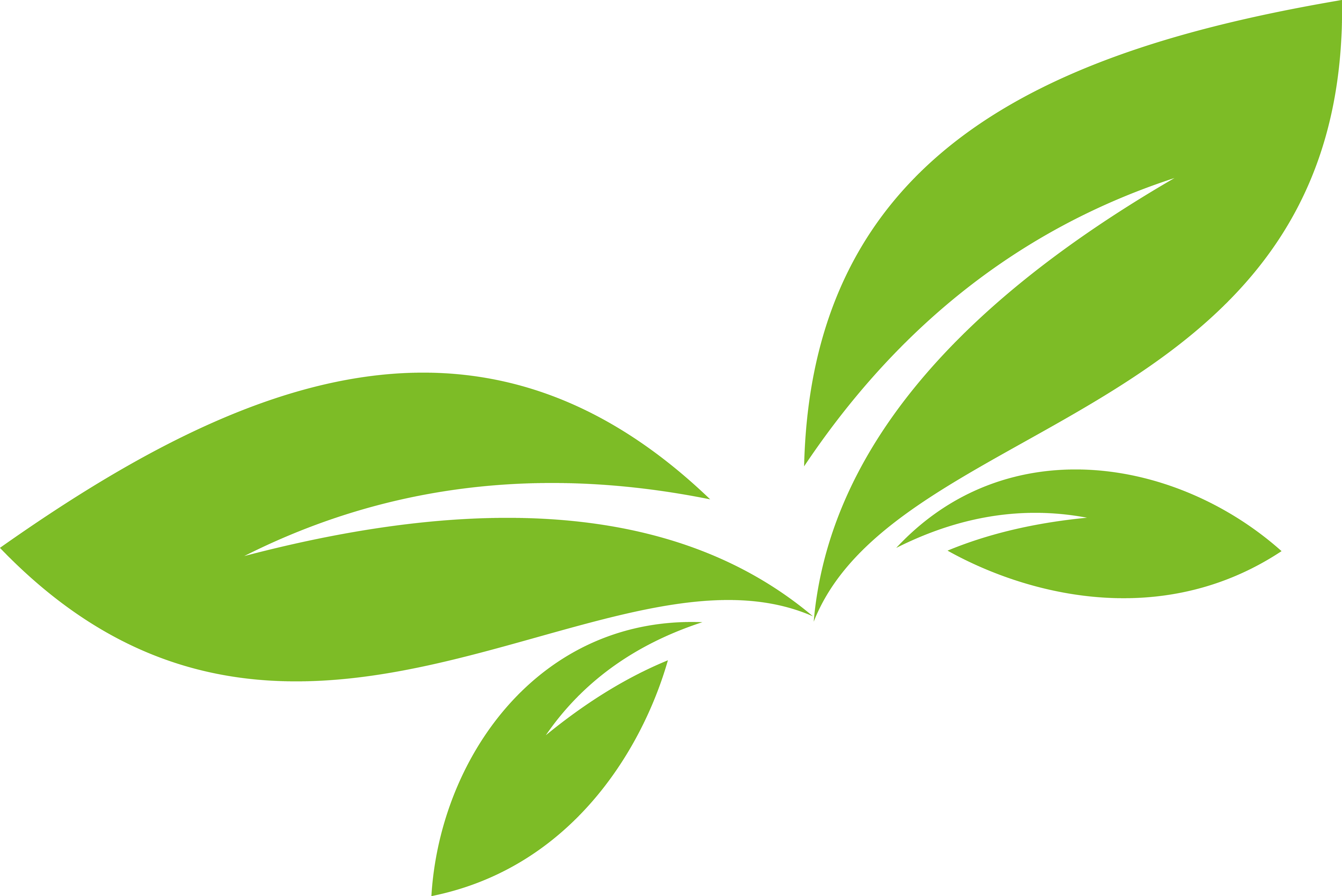 Leaf Logo Euclidean Vector - Leaves Design Png (5485x3662)