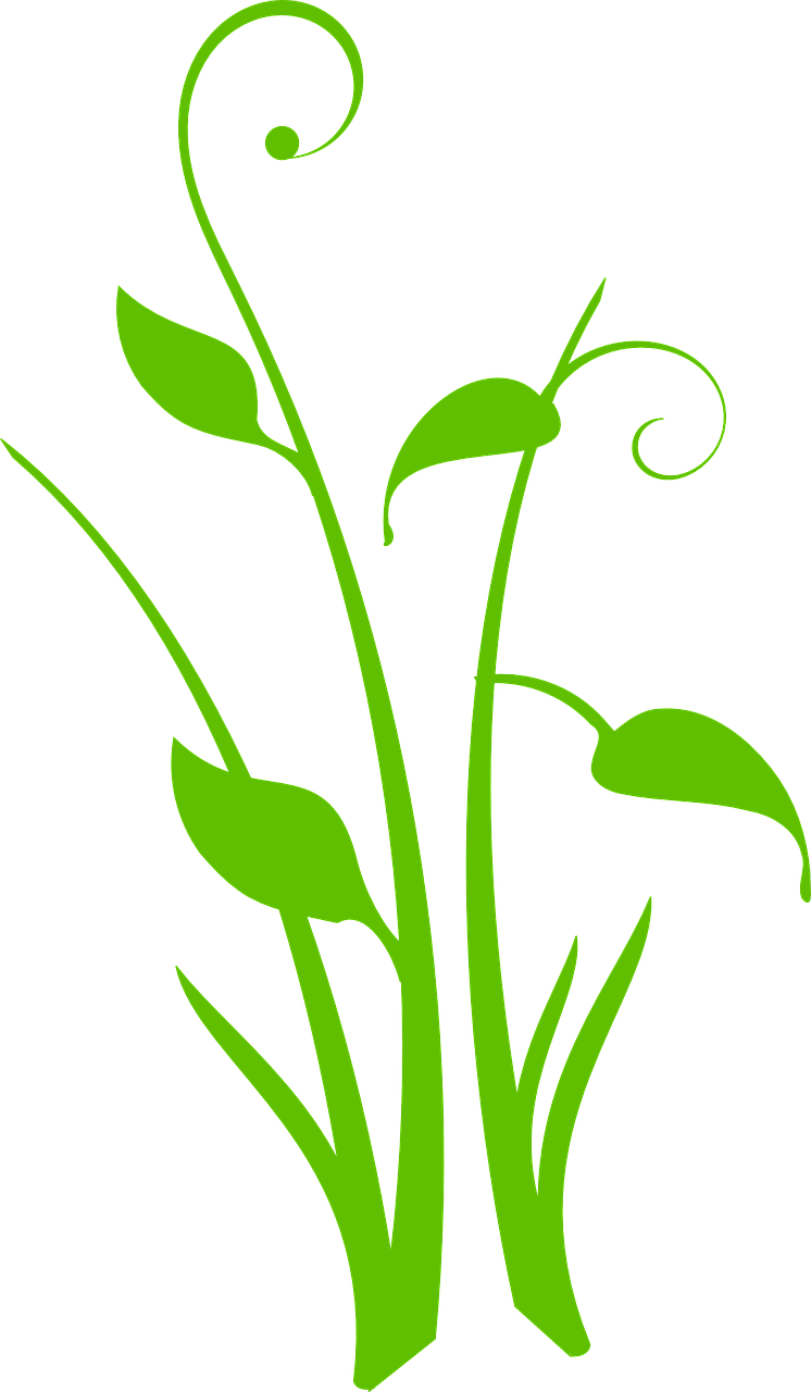 Grass Leaves Beautiful Design Png Image - Vectores Hojas Verdes Png (746x1280)