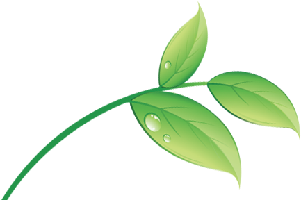 8 Images Of Eco Leaf Logo - Go Green Leaf Png (442x295)