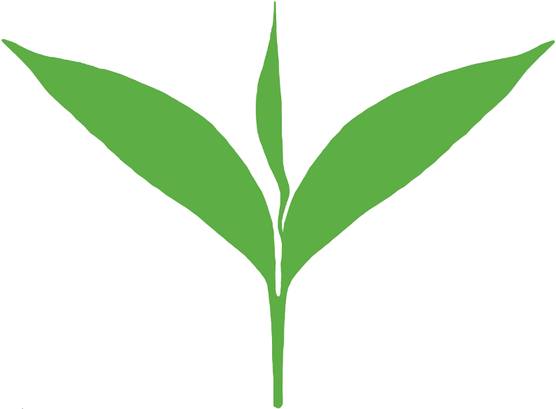 Tealeaf - Tea Leaf Design Png (800x800)