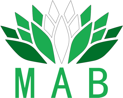 About Mab Digital Marketing - Mab Digital Marketing (500x403)