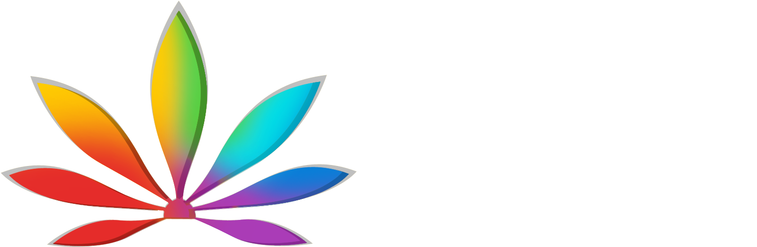 Fmg Integrated Digital Marketing & Creative Agency - Fmg Integrated Digital Marketing & Creative Agency (1584x526)