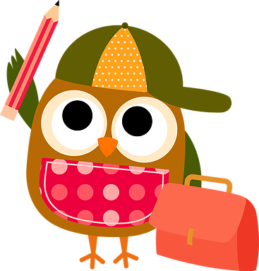 Pratiquer Des Chansons À La Maison - Colorful Owls Birthday Banner Personalized Party Backdrop (668x700)