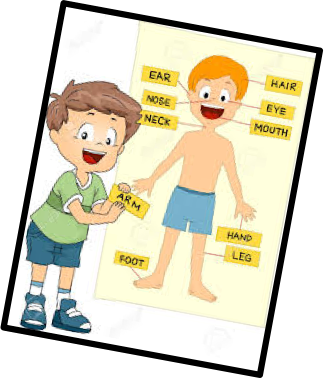 How Is It That We Are Able To Walk Through A Dark Room - Can Learn My Body Parts Coloring Book (324x378)