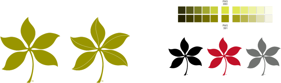 Ohio State Buckeye Leaves And Nut Clipart - Buckeyes Care (950x289)