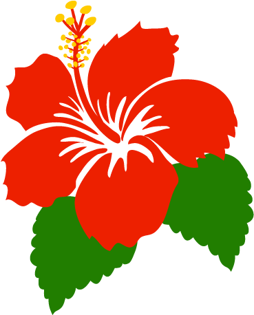 For Download Free Image - Hibiscus Cartoon (540x540)