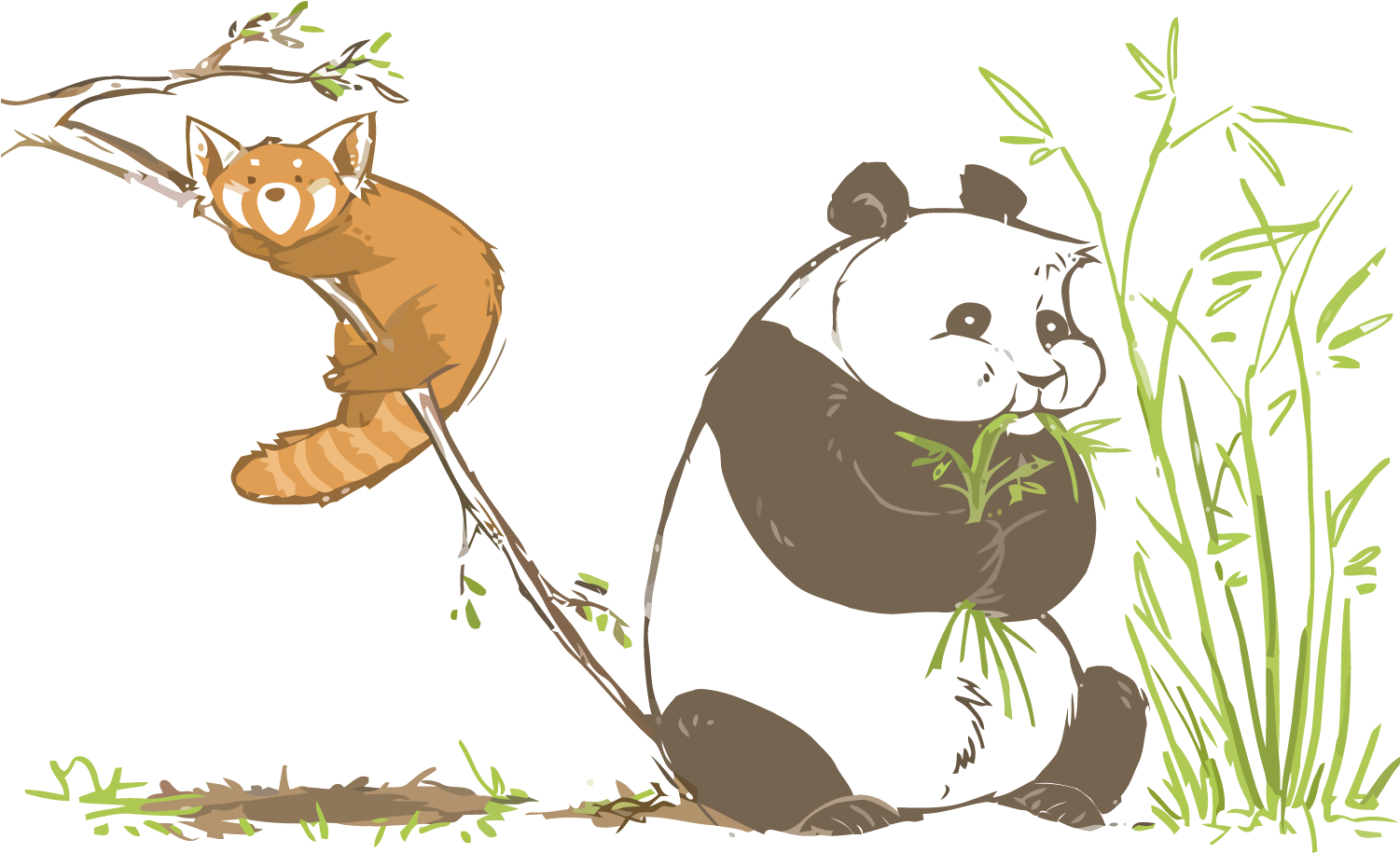 Bear Giant Panda Red Panda Illustration - Giant Panda (1500x1060)