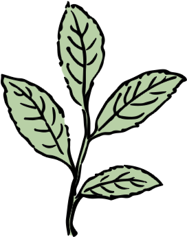 Leaf Gfx - Leaf (500x437)