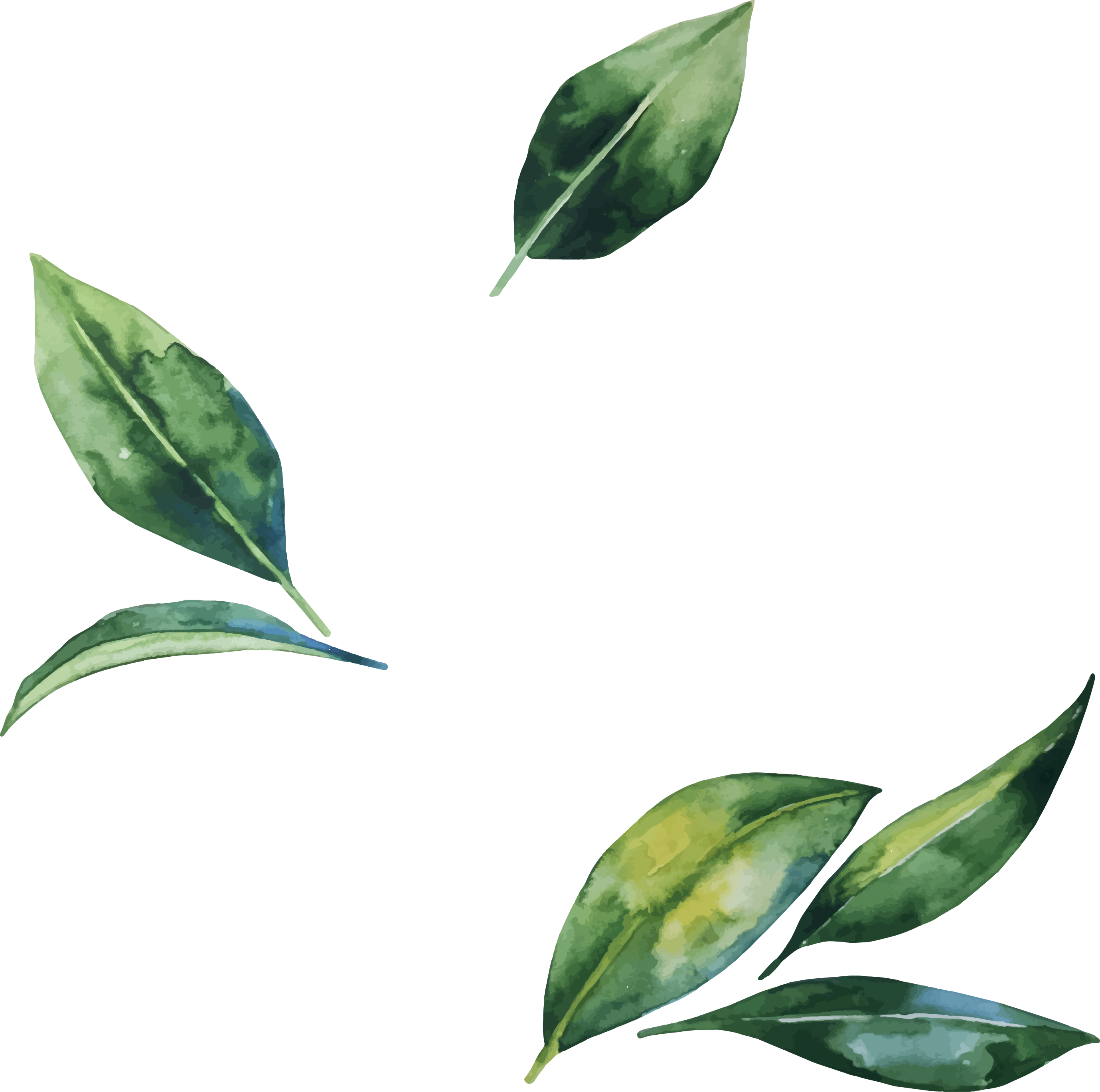 Leaf Flower Illustration - Watercolor Leaves Leaf Illust Png (2757x2737)