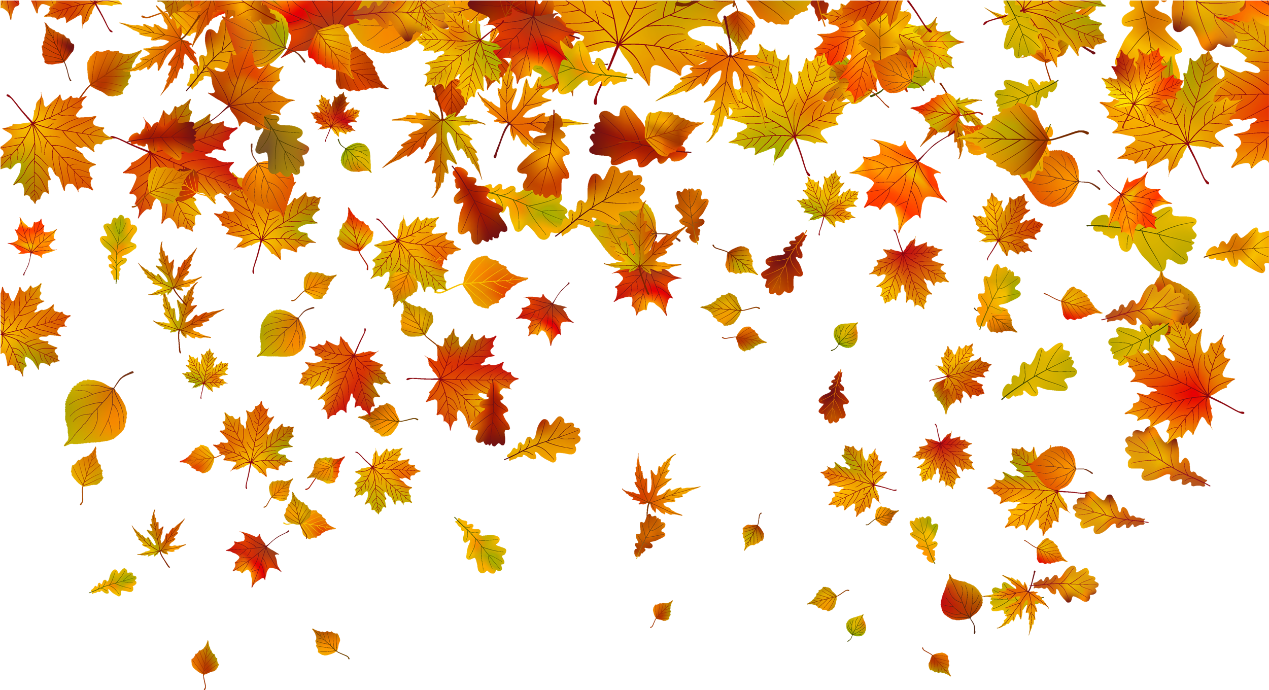 Beautiful Falling Leaves Clipart Fall Leaves Border - Falling Leaves Clipart Png (2500x1388)