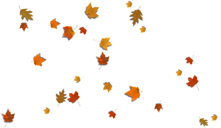 Fall Leaves Corner Border Png Download - Illustration (900x500)