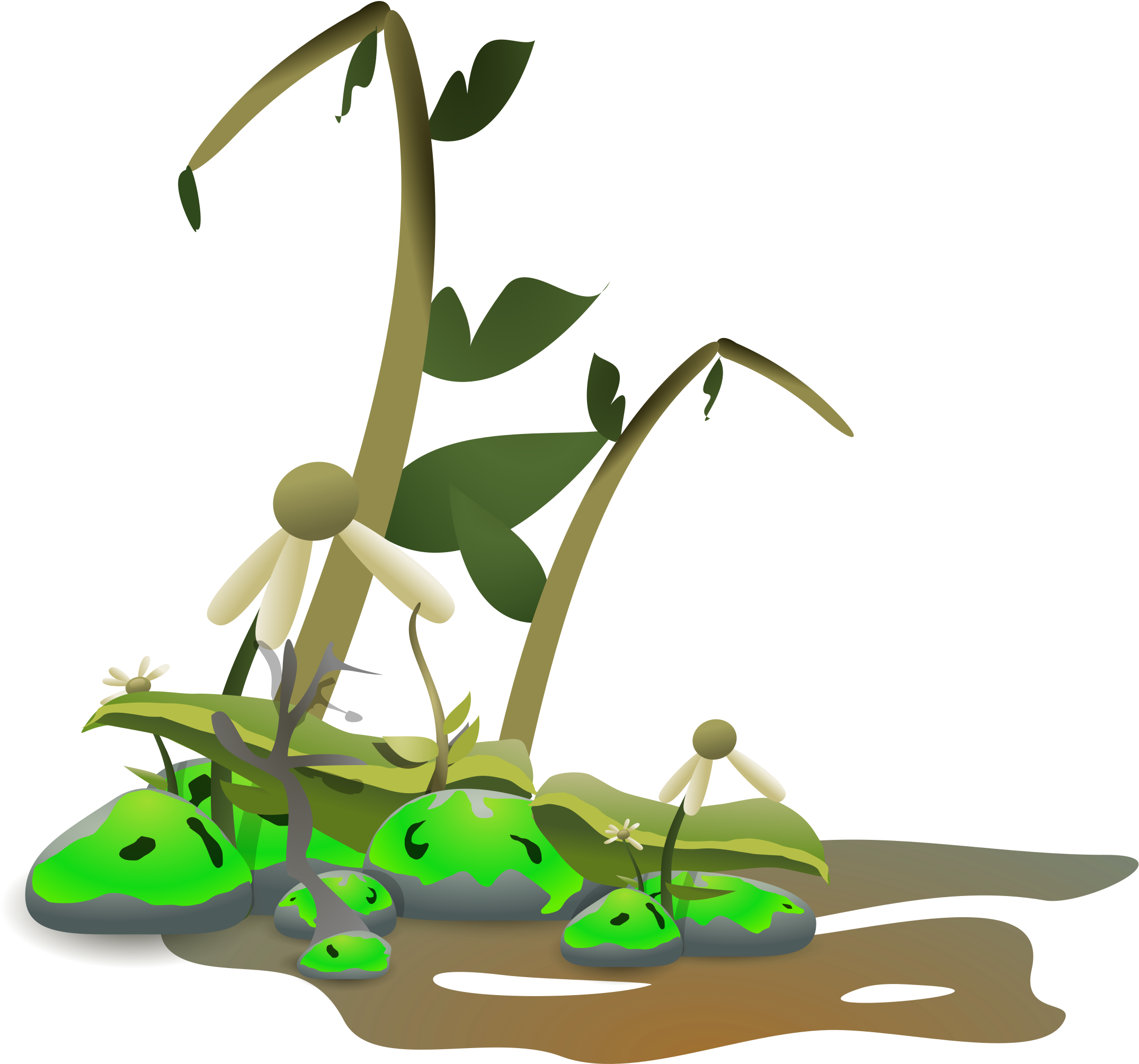 Sick Plant Clip Art (2400x2435)