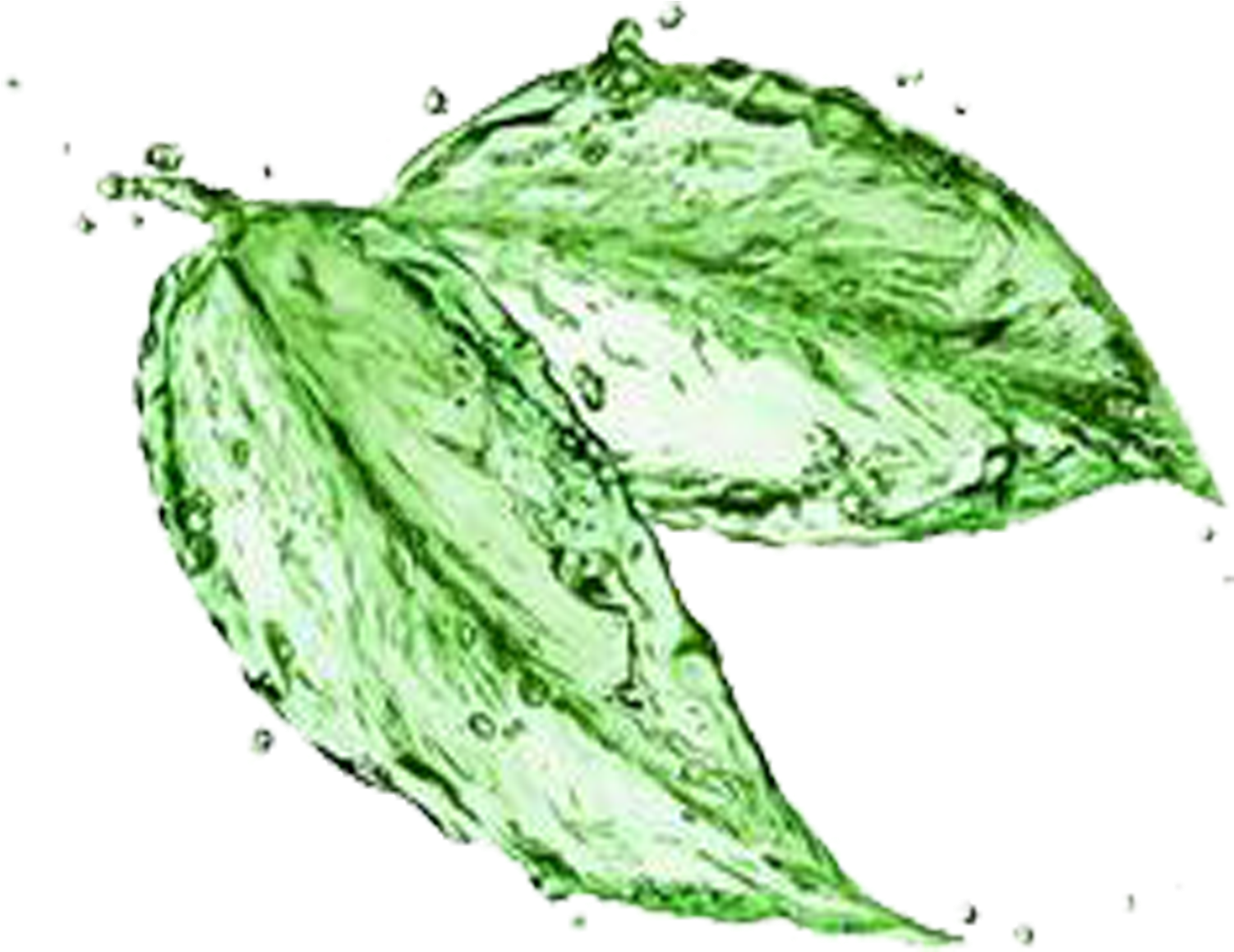 Green Tea Matcha Water Stock Photography - Natural Clean Products Logo (2953x2953)