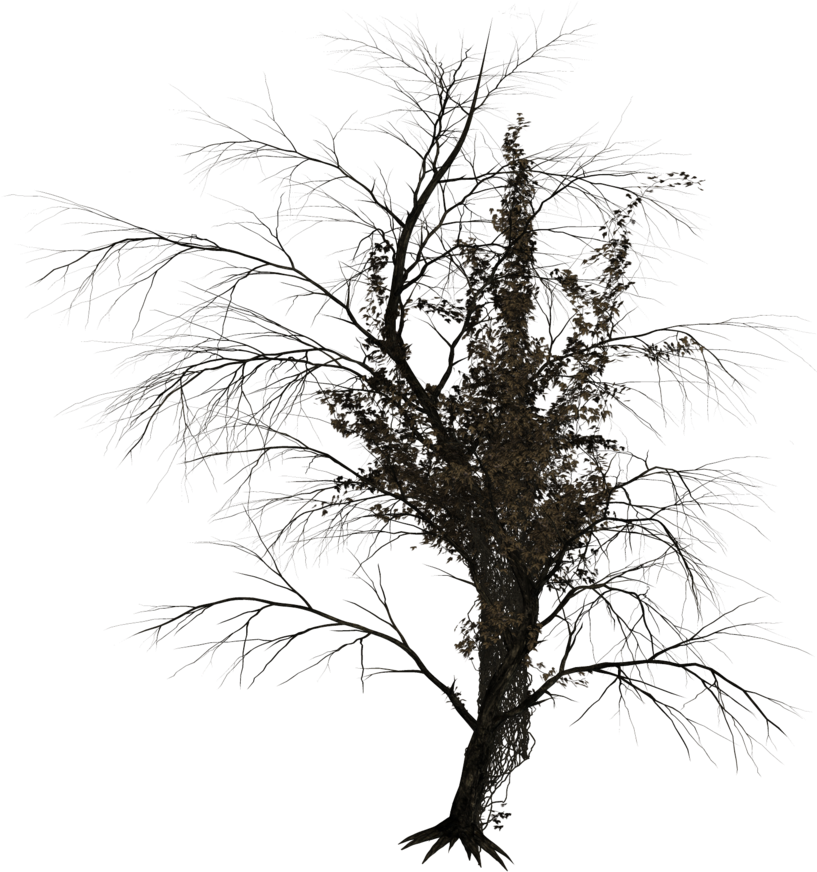 Dark Trees Png Stock 02 By Roy3d - Dark Tree Render (843x947)