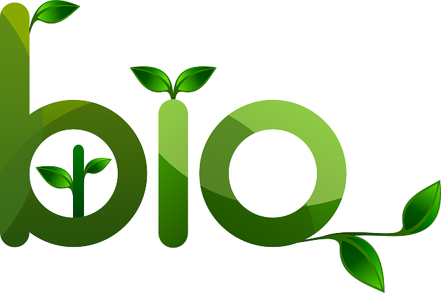 Bio-green Plants Vector - Bio Clipart (960x637)