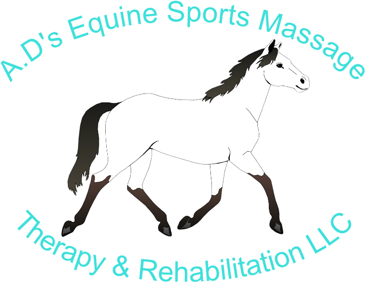 Ad's Equine Sports Massage, Therapy And Rehabilitation, - Mustang Horse Coloring Pages (735x600)