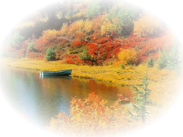 Vidéo Feuilles D'automne Et Gif Animé - Fall Colors (600x450)