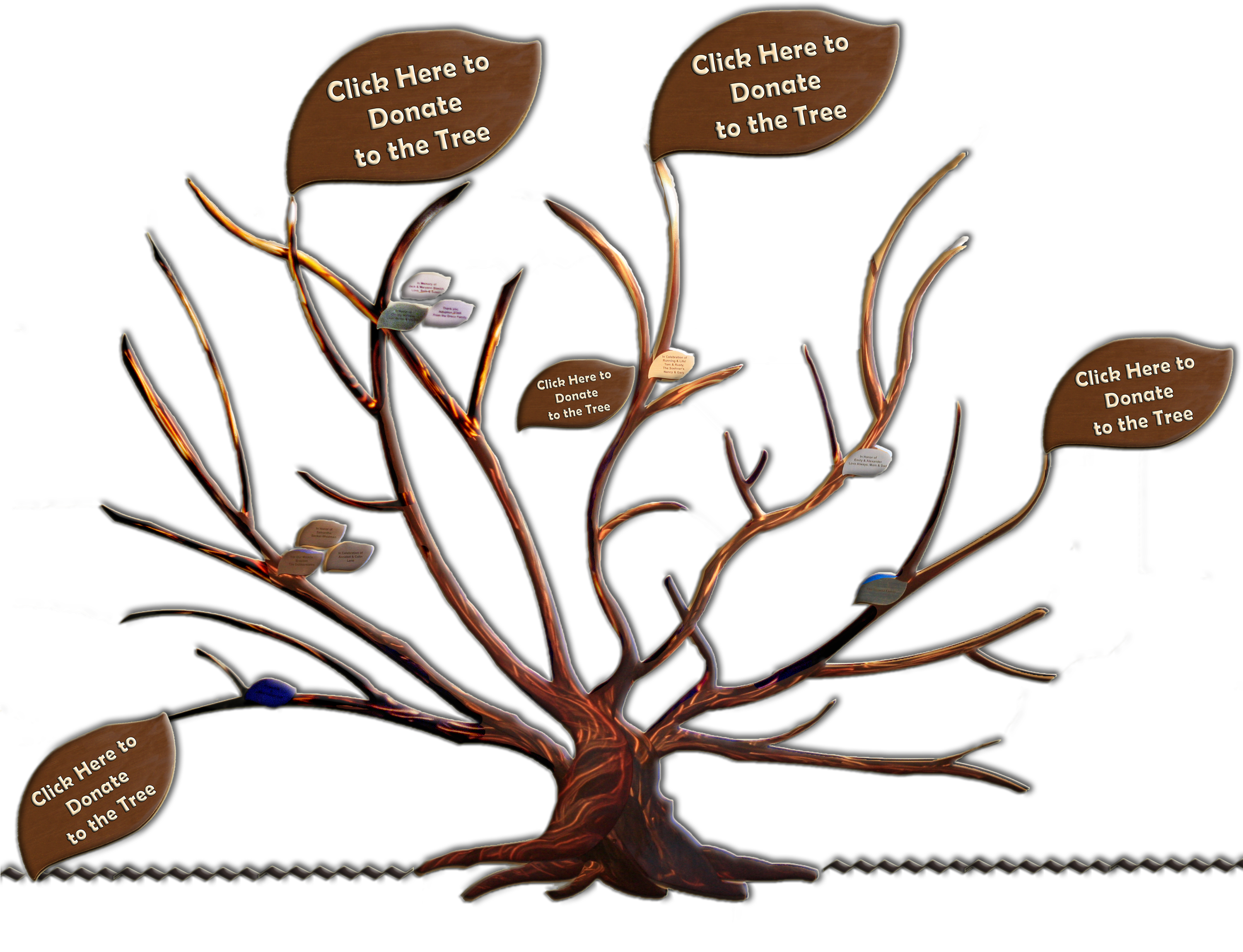 The - John Muir Family Tree (3000x2400)