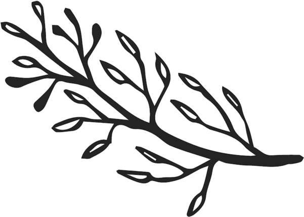 Teardrop Leaves On Branch Rubber Stamp - Teardrop Leaves On Branch Rubber Stamp (600x600)