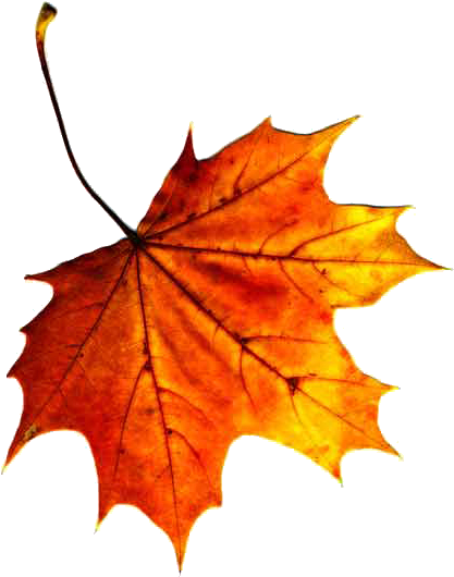 Leaf Four Sonoran Sky Elementary Pto - Equinoccio By Abraham Serrano 9781516805488 (paperback) (443x555)