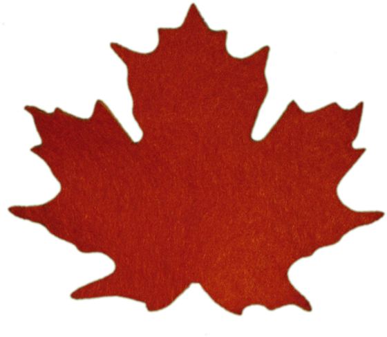 Maple Leaves - Sugar Maple Leaf (587x500)