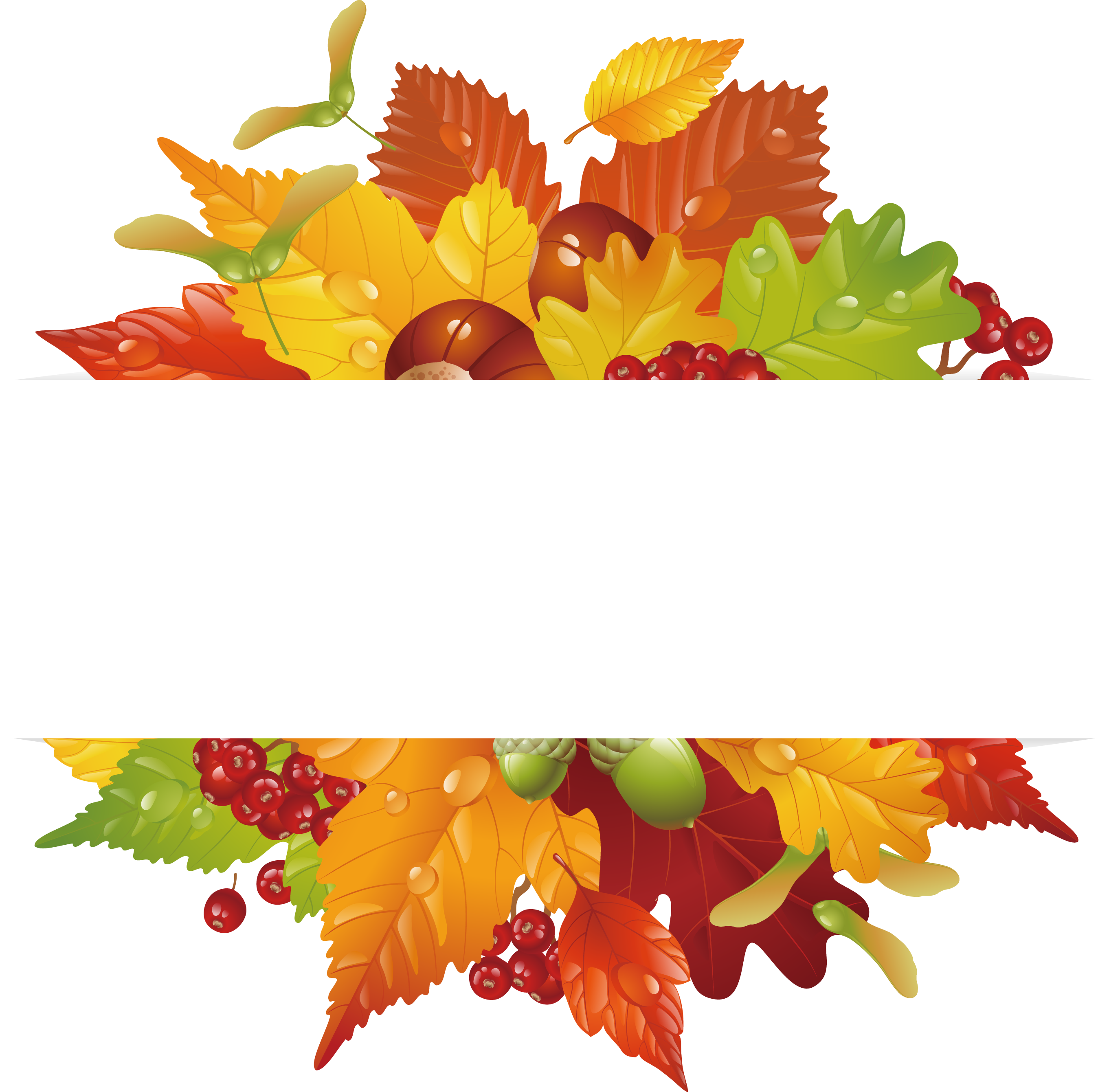 Autumn Leaf Color Euclidean Vector Clip Art - Foglie Castagne (2723x2681)