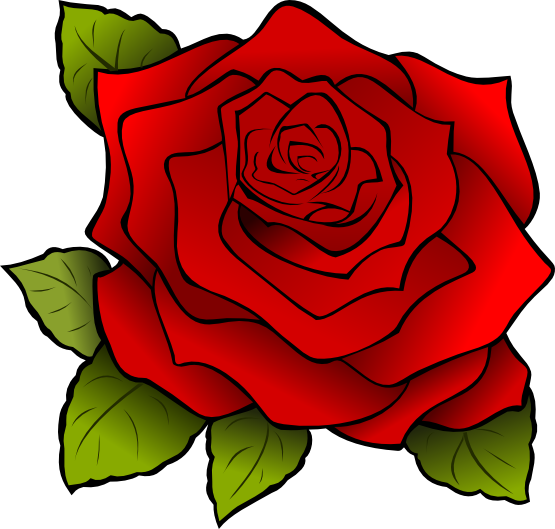 Free Large Red Rose Clip Art - Rose Clipart (555x529)
