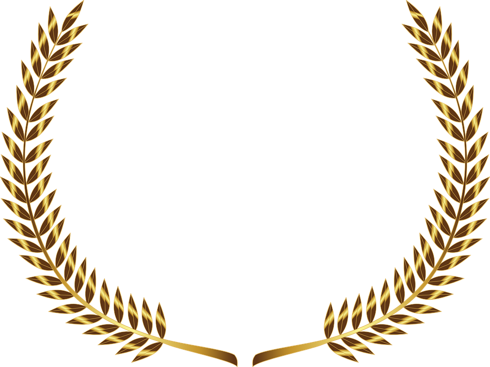 Branch Olive Gold Â - Gold Laurel Wreath Png (960x720)