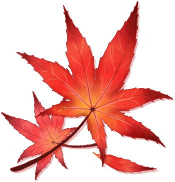 How To Plant, Care And Prune - Japanese Maple Leaf Png (401x400)