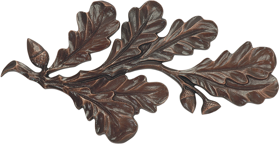 Oak Branch - Oregon White Oak (1000x1000)