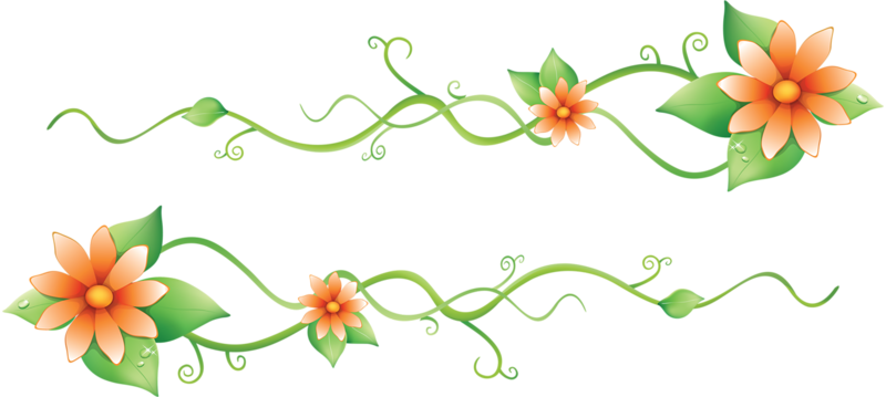 Border Flowers Euclidean Vector - Клипарт Виньетки (800x359)