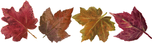 Leaf Pattern - Cheese Course Wedding Menu (519x346)