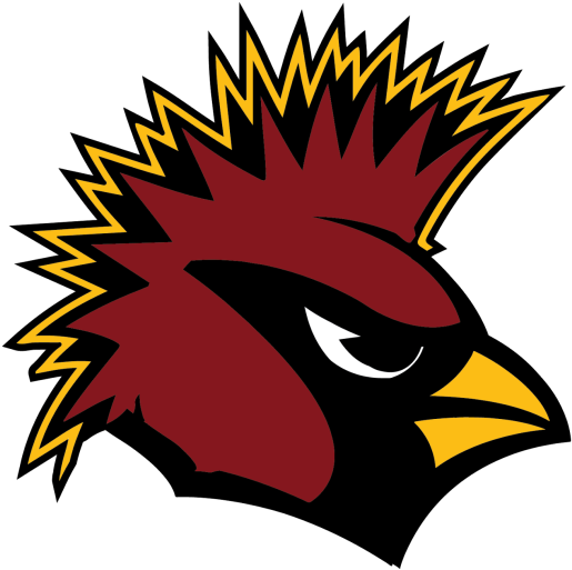 Arizona Cardinals Png Image - Arizona Cardinals (1600x1600)