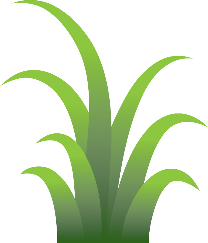 Cheeky Monkey Treehouses - Cheekymonkey Png (702x818)