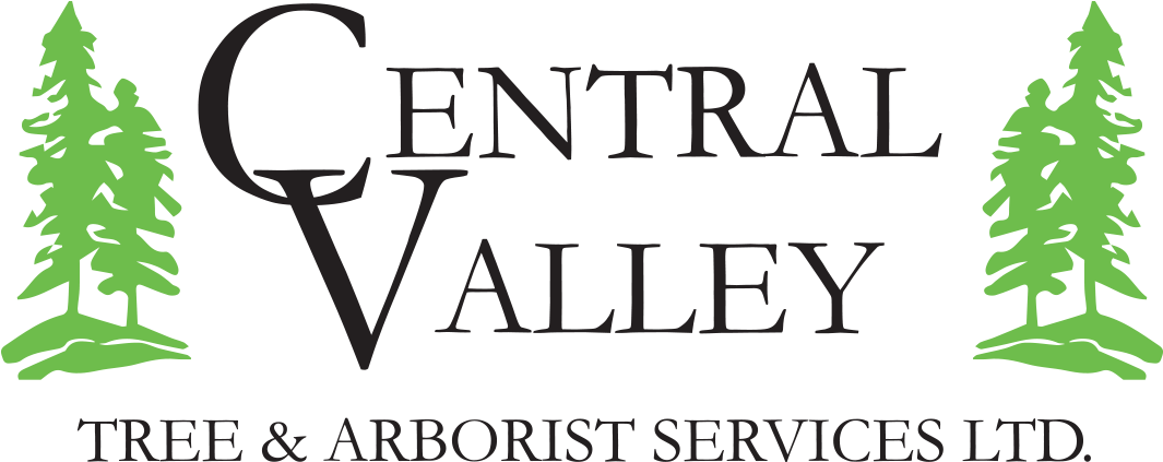 Logo - Sugar Hall By Tiffany Murray (1080x483)