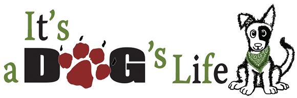 Your Premier Dog Kennel In Petaluma, Ca, Serving The - It's A Dog's Life (637x192)