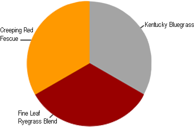 Permalawn Mix - World Primary Energy Consumption (550x275)