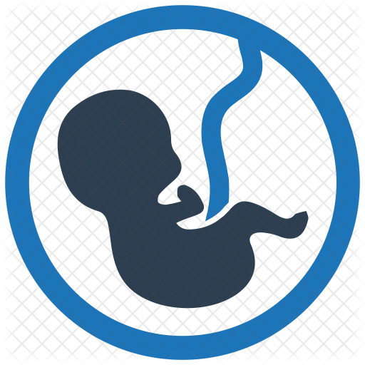 Baby Icon - Maternity Icon (512x512)