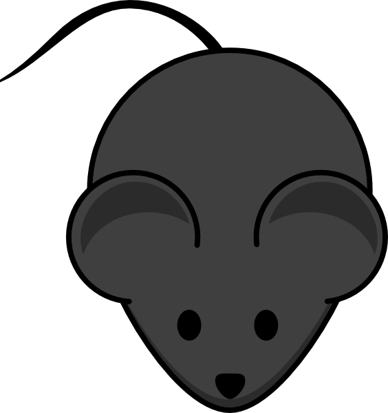 Mouse Wt And Ko Clipart (564x600)