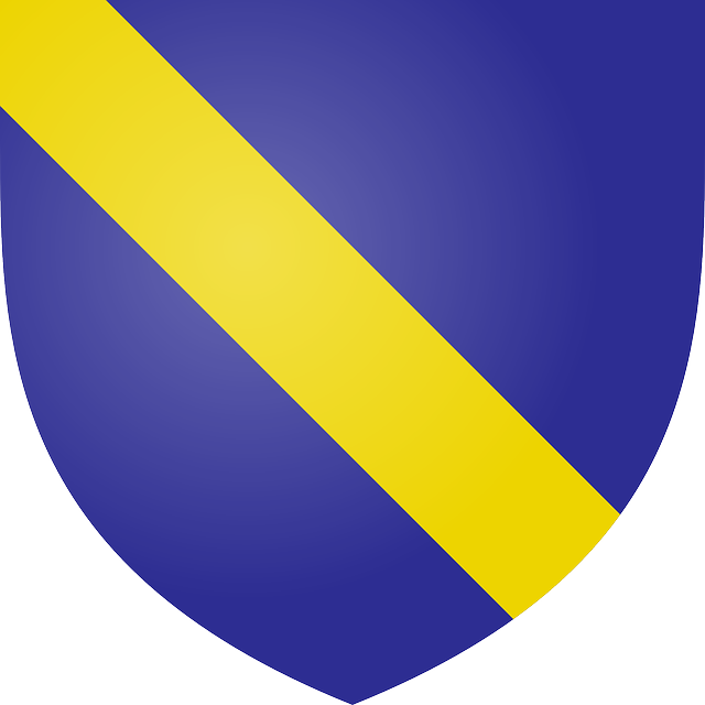 Blue, Yellow, Coat, Arms, Bend, Azure - Escudo Azul Y Amarillo (640x640)