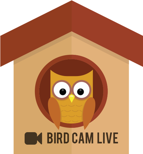 Summer Fete, Saturday 7th July, 12 - House (460x500)